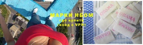 ГАЛЛЮЦИНОГЕННЫЕ ГРИБЫ Липки
