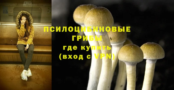 МДПВ Вязники