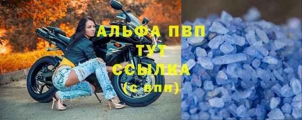 ГАЛЛЮЦИНОГЕННЫЕ ГРИБЫ Липки