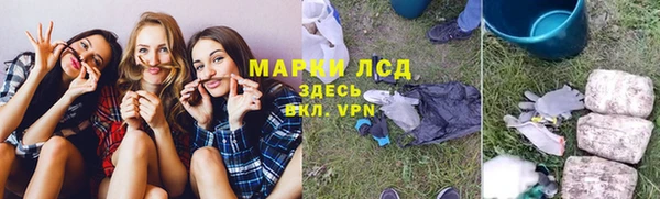 ГАЛЛЮЦИНОГЕННЫЕ ГРИБЫ Липки