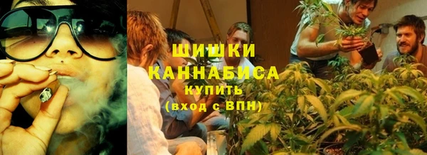 шишки Вяземский