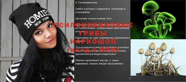ГАЛЛЮЦИНОГЕННЫЕ ГРИБЫ Липки