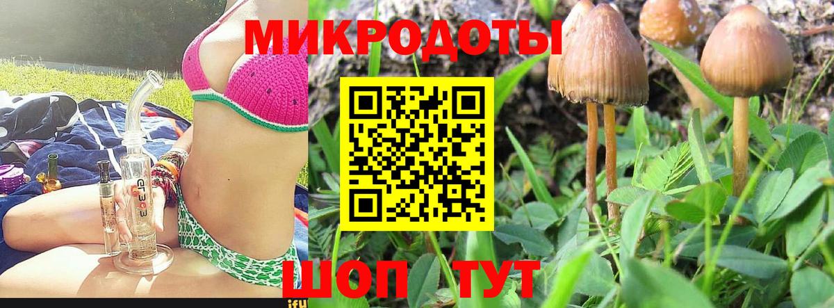 Псилоцибиновые грибы Psilocybine cubensis Чайковский