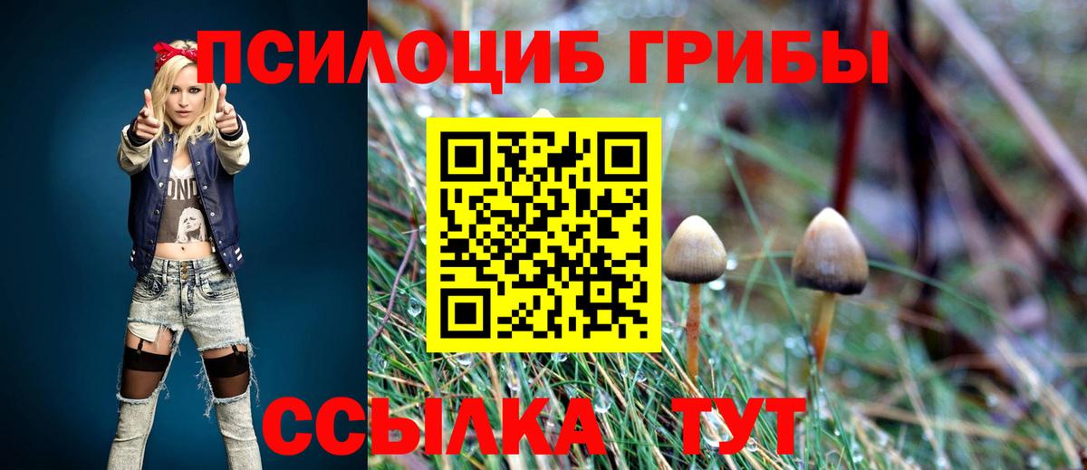 Чайковский  Галлюциногенные грибы MAGIC MUSHROOMS  Вход с VPN 