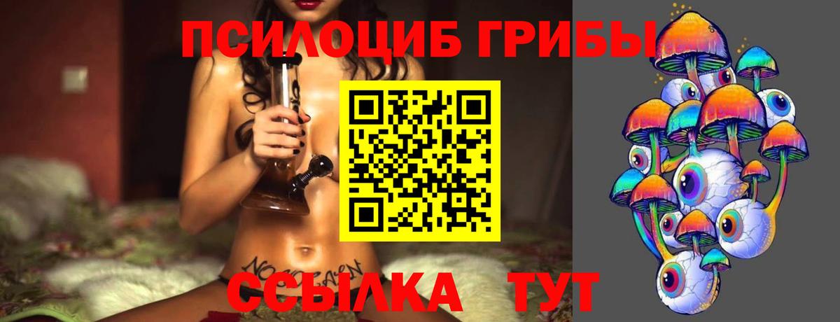 Галлюциногенные грибы Cubensis Чайковский