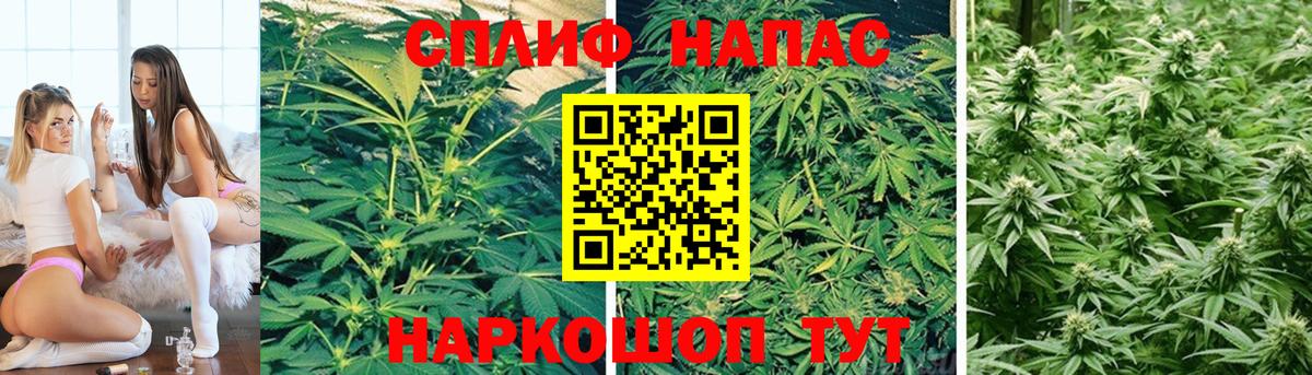 Каннабис VHQ  Шишки марихуана THC 21%  Чайковский  Каннабис конопля  Вход с VPN 